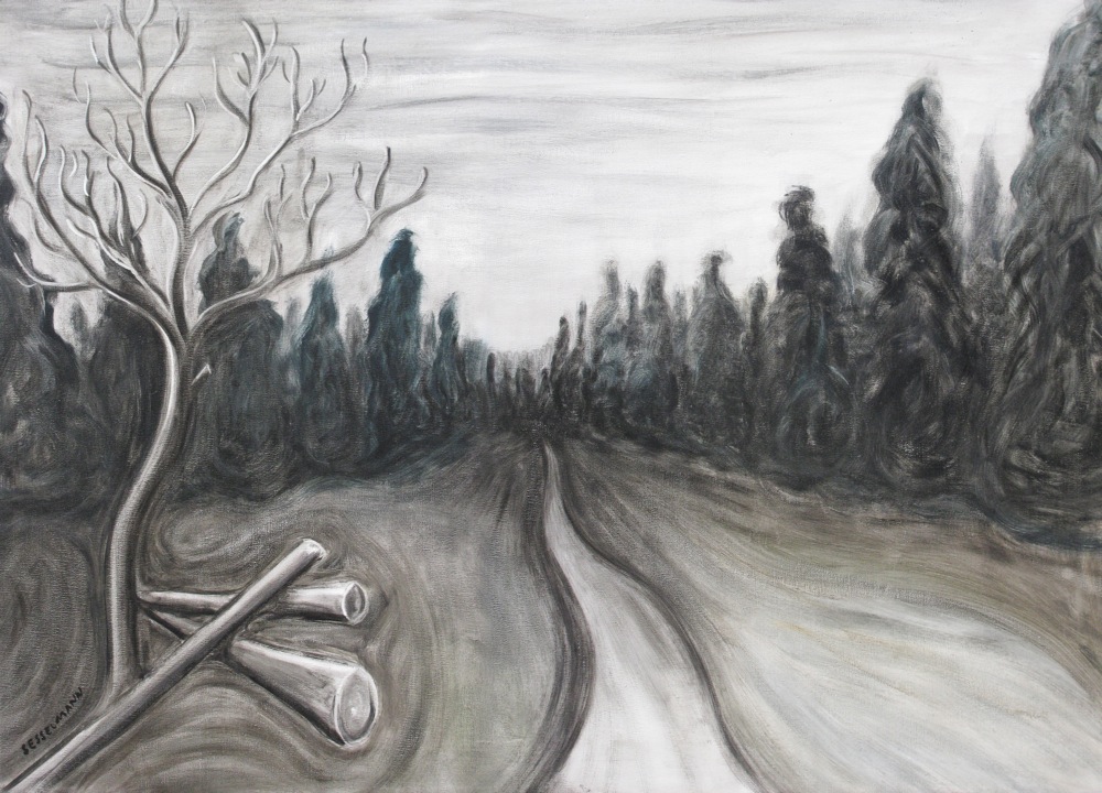 Rainy Forest road