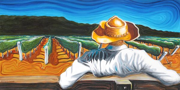 Australian Vigneron - Panorama